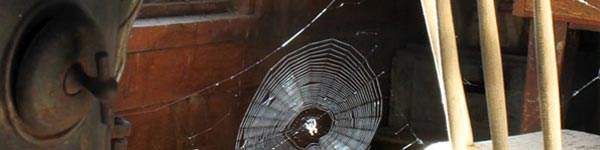 Saloon Spider Web, SD(2010)